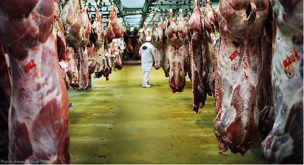 Viande : La FNB demande au ministre de l’Agriculture de prendre des mesures  exceptionnelles pour contrer la crise