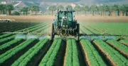 Utilisation des produits phytosanitaires dans l’agriculture : lancement du plan Ecophyto 2