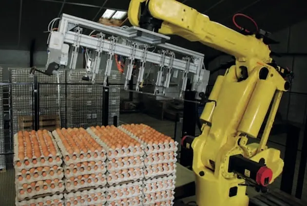 Robotique : Les ventes en augmentation dans l’industrie agroalimentaire