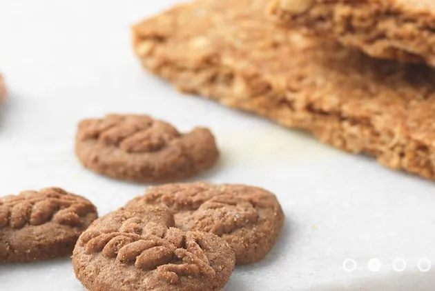 Biscuit International annonce son intention d’acquérir Aviateur aux Pays-Bas