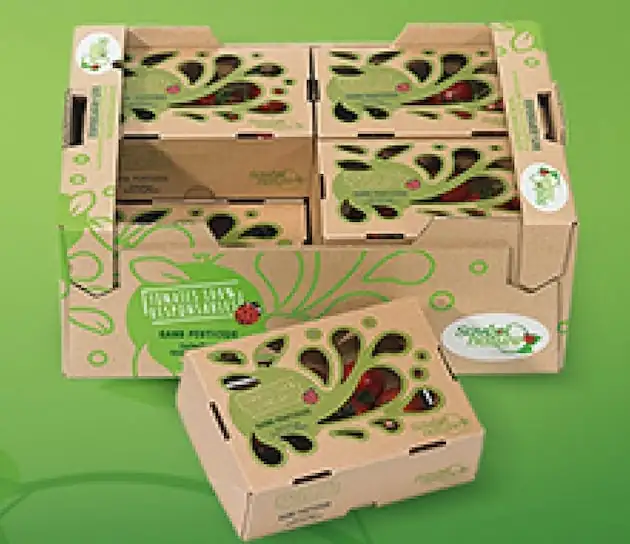 Savéol et Smurfit Kappa développent un emballage de tomates 100% carton