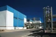 Beneo investit plus de 50 millions d’euros pour accroître la production d’inuline de chicorée