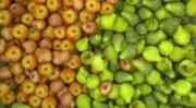 Une biosolution innovante pour la filière pommes-poires