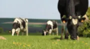 5 ans pour décarboner l’industrie laitière dans les Hauts de France